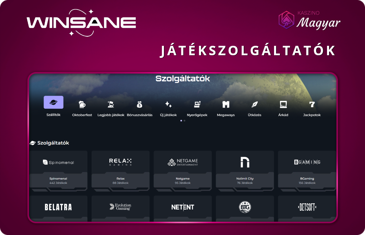 Winsane játékoszolgáltatók